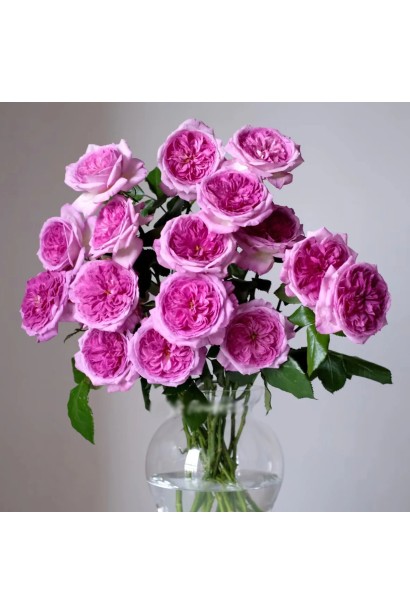 Троянда Тьєррі Маркс у зрізці для букетів